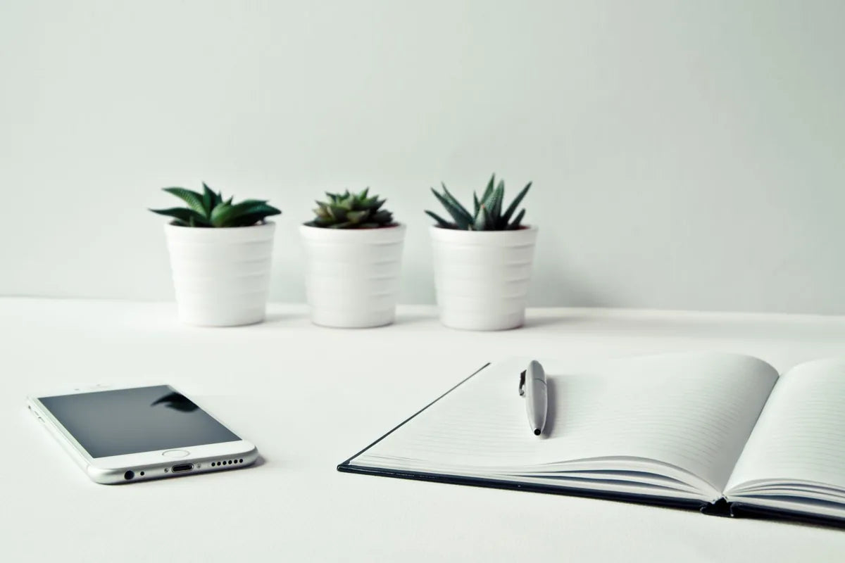 Bureau de consultation diététique épuré - carnet, stylo et plantes - approche terrain et humaine