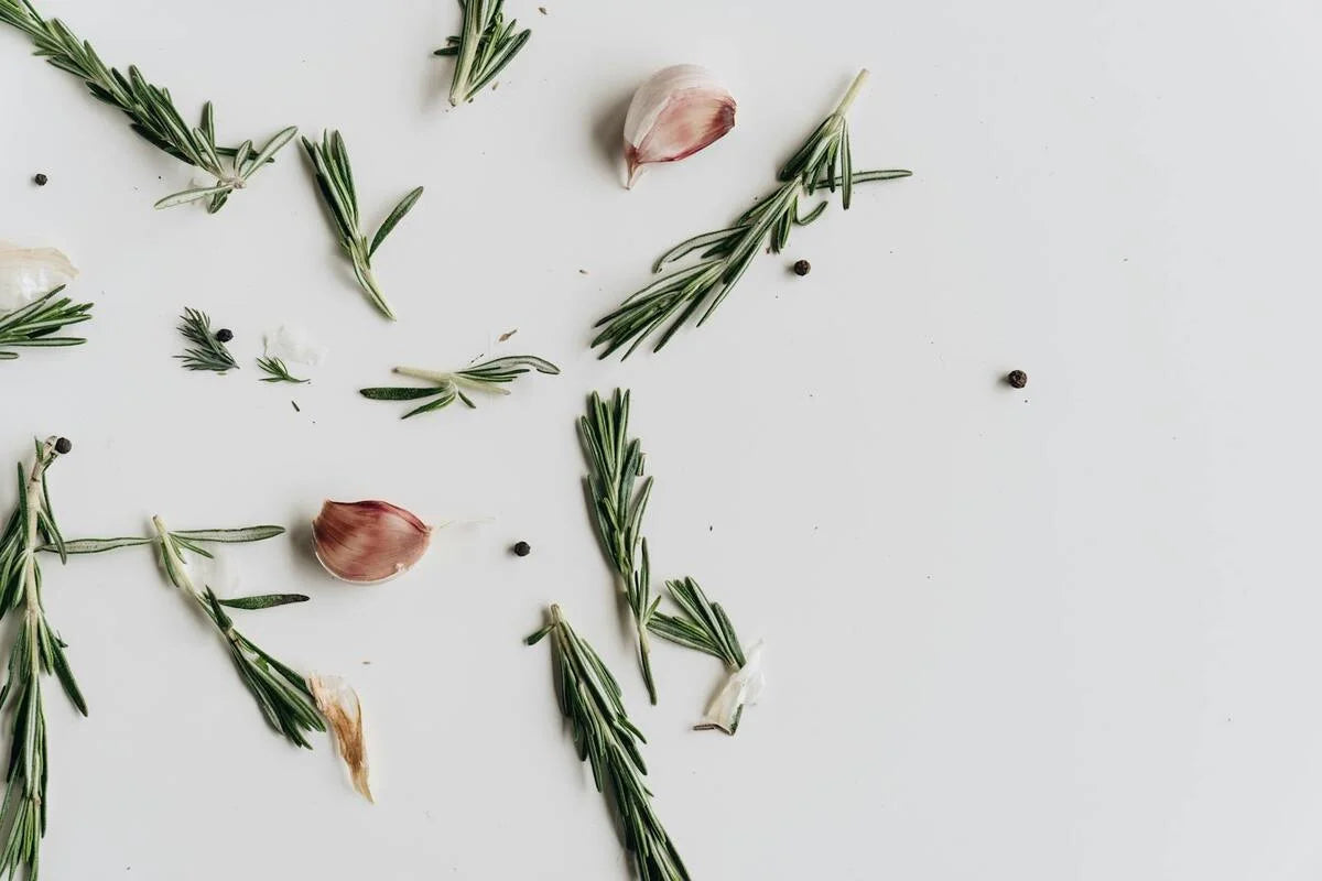 Romarin, ail et grains de poivre disposés sur fond clair, ingrédients aromatiques de la cuisine Phase 1 Méthode Longévité