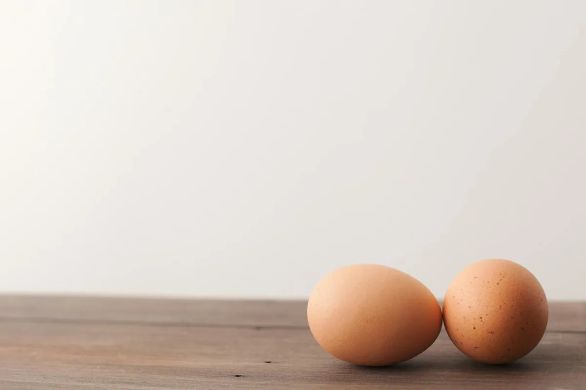 Repas équilibré sans glucides rapides — illustration de la Phase 1 Méthode Longévité
