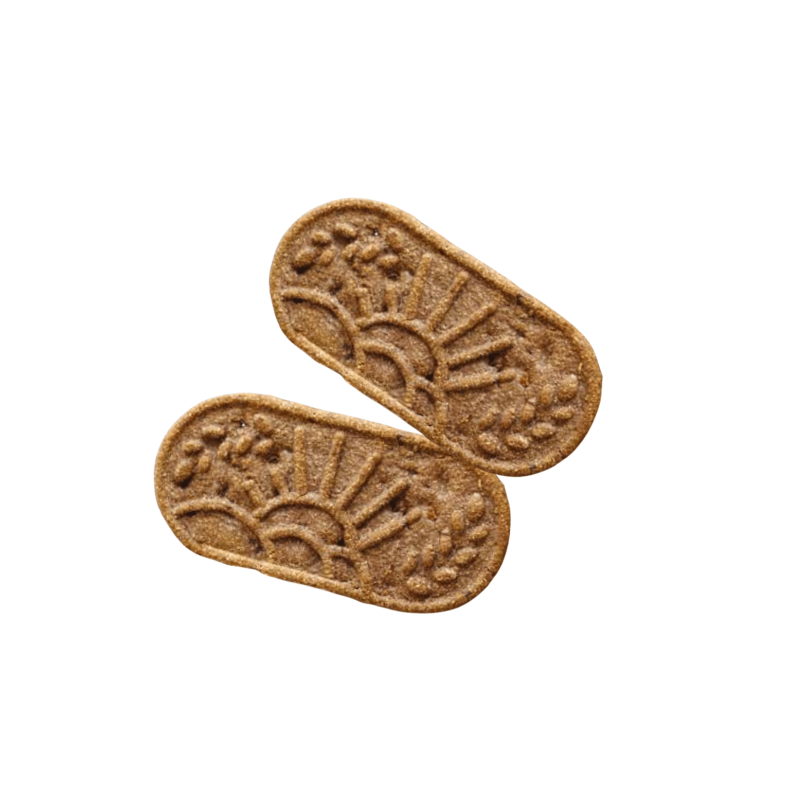 Les biscuits saveur cacao (5 portions) - LONGÉVITÉ